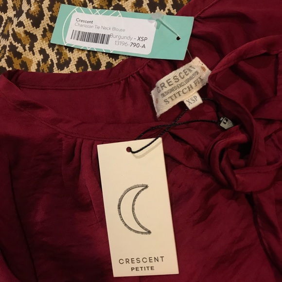 Stitch Fix - Charleton Tie Neck Blouse - Picture 2 of 2